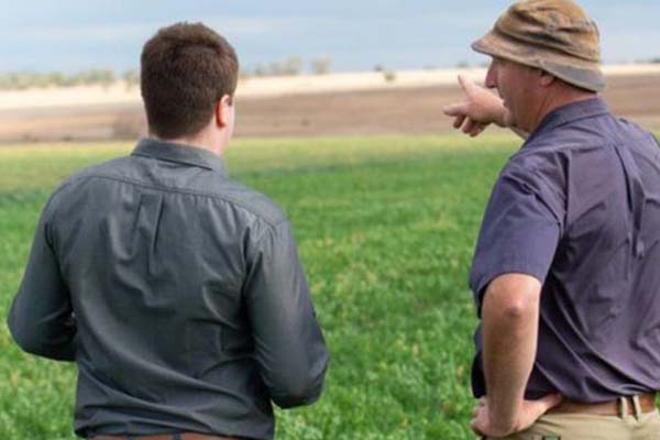 Two men, backs to camera talking about carbon farming